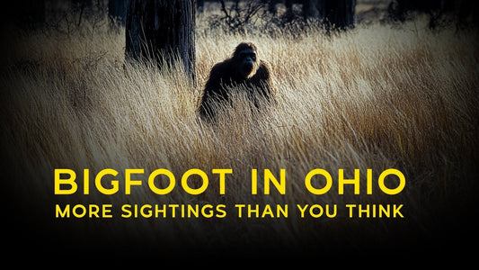 🦶 Bigfoot in Ohio? More Sightings Than You Think