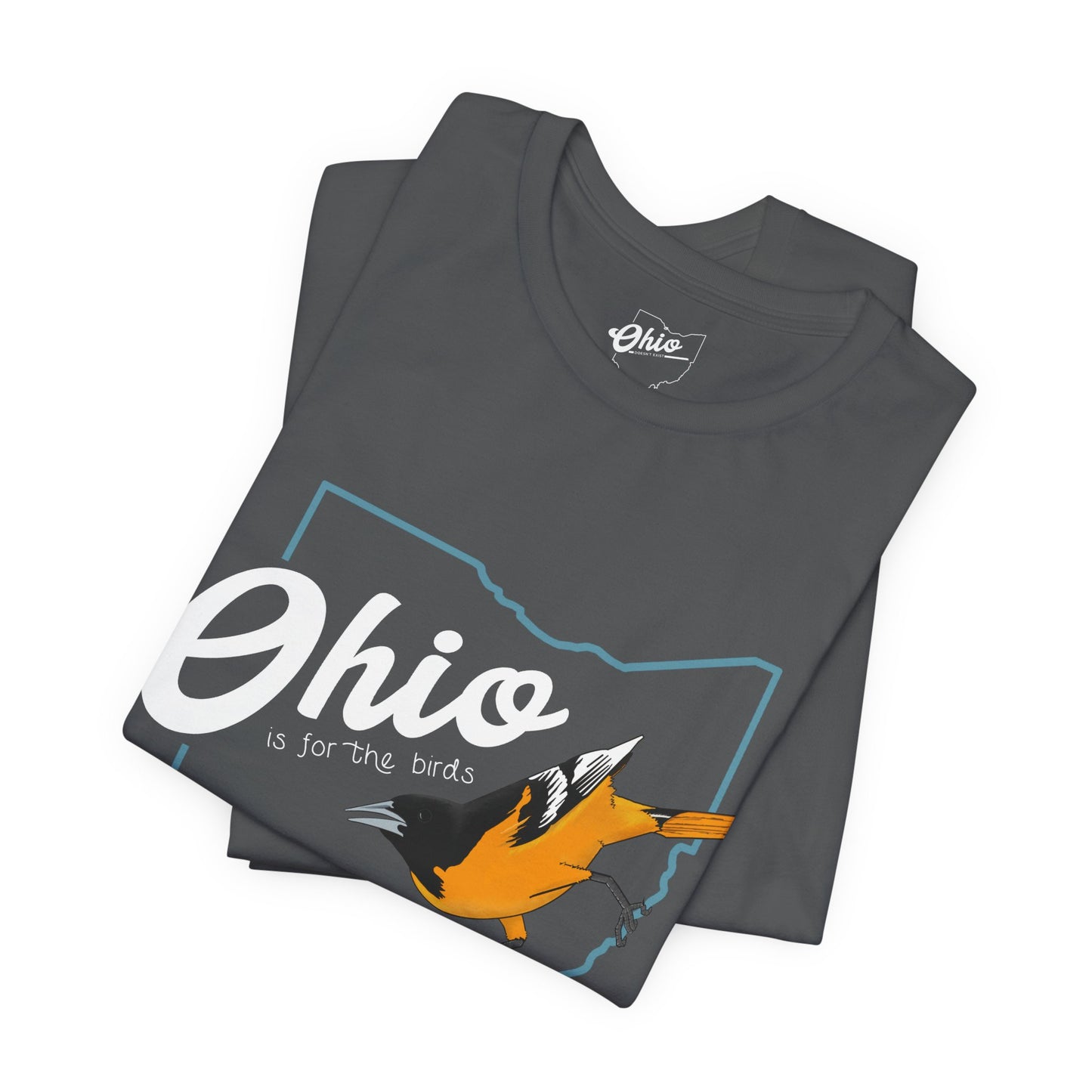 Ohio Is for the Birds - Baltimore Oriole