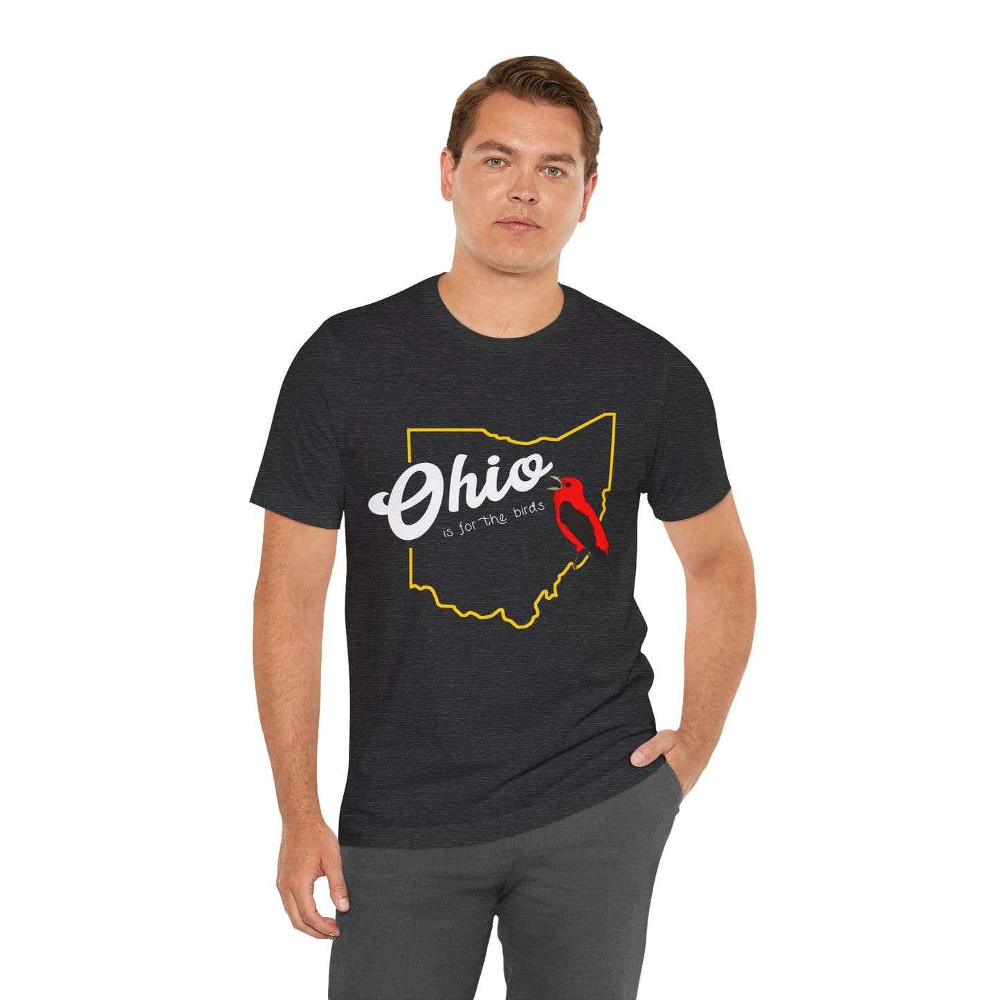 Ohio Is for the Birds - Scarlet Tanager